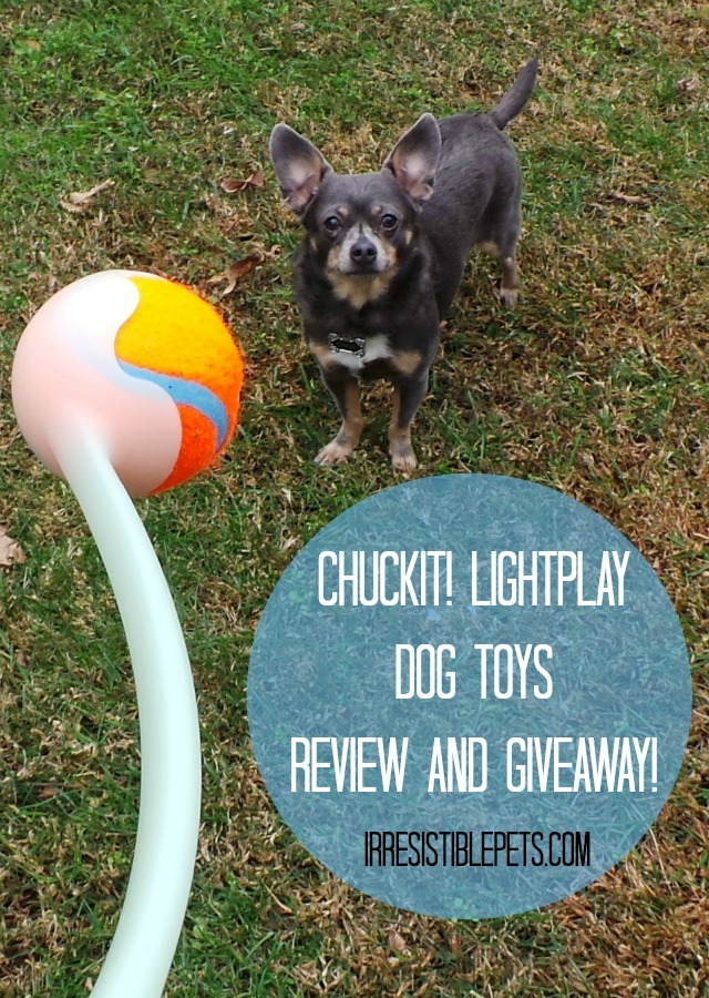 Chuckit! LIGHTPLAY Dog Toys Review and Giveaway by IrresistiblePets.com